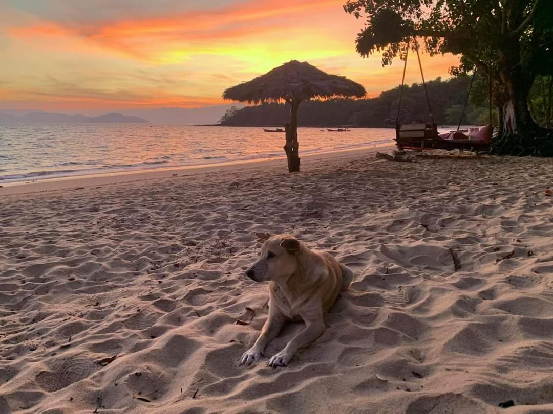 Sabai Sabai Beach Bungalows Koh Phayam Zewnętrze zdjęcie